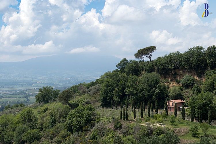 Unexpected Umbria - Monteleone di Orvieto